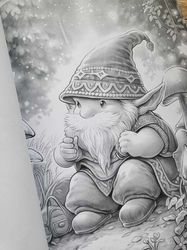 Christmas Gnomes Adult Coloring Book- Max Brenner 