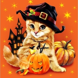 HALLOWEEN KITTY - Diamond painting - 38 x 38 cm
