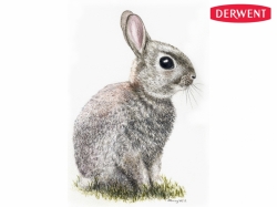 DERWENT Graphitint -  rozmývatelné grafitové pastelky - jednotlivé barvy