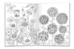 Ditipo Kreativ - CALM relaxační omalovánky - Rozkvetlé květiny 