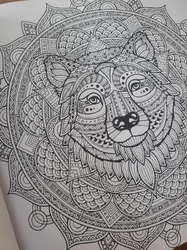 Ditipo Kreativ -  Mystical Colouring for Adult 