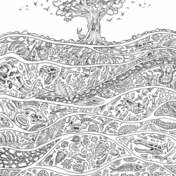 Fantomorphia + Geomorphia - Kerby Rosanes - polské vydání