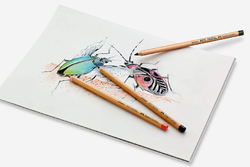 Faber-Castell PITT Pastel - pastel v tužce - sada 12 ks