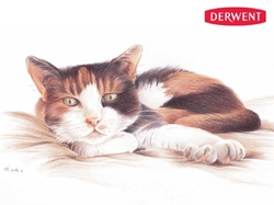 DERWENT Drawing - sada 72 ks -  měkké pastelky