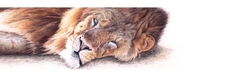 DERWENT Drawing - sada 72 ks -  měkké pastelky
