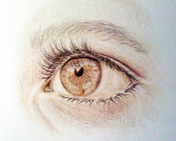 DERWENT Drawing - sada 36 ks -  měkké pastelky