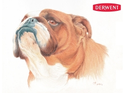 DERWENT Drawing - sada 72 ks -  měkké pastelky