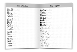 Ditipo DOODLE Krasopísanka - Vyzdob si svůj notes