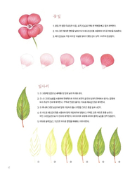 Beautiful Flower Botanical Art Coloring Book - KOREA