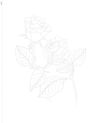 Beautiful Flower Botanical Art Coloring Book - KOREA