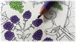 STAEDTLER Ergo Soft  trojhranná pastelka -  limitovaná edice Johanna Basford - 36 ks v plechu