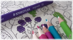 STAEDTLER Ergo Soft  trojhranná pastelka -  limitovaná edice Johanna Basford - 36 ks v plechu