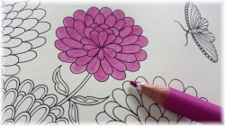 STAEDTLER Ergo Soft  trojhranná pastelka -  limitovaná edice Johanna Basford - 36 ks v plechu