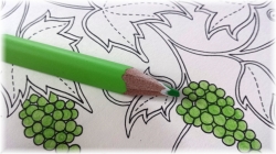 STAEDTLER Ergo Soft  trojhranná pastelka -  limitovaná edice Johanna Basford - 36 ks v plechu