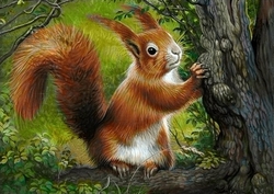 FOREST SQUIRREL (Veverka lesní)  - Diamond painting - 38 x 27 cm