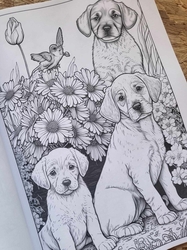 Enchanted Teapot adult coloring book