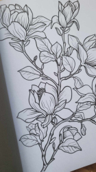 Entspannung mit Blumen Coloring book  - Lia Liebherz