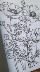 Entspannung mit Blumen Coloring book  - Lia Liebherz