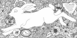 Escape to Wonderland A Colouring Book Adventure