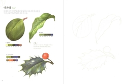 Botanical Art Easy Drawing Coloring Book