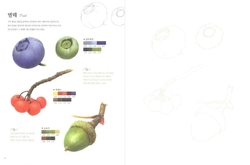 Botanical Art Easy Drawing Coloring Book
