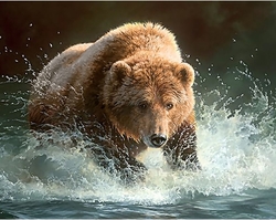 BEAR FISHING (Medvěd rybaří) - Diamond painting - 48 x 38 cm