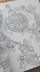 Fairy Tales & Folklore Coloring Book - Emelie Lidehäll Öberg (Sagor och sagner)
