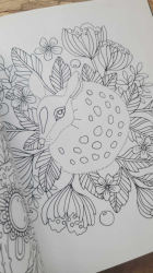 Fairy Tales & Folklore Coloring Book - Emelie Lidehäll Öberg (Sagor och sagner)