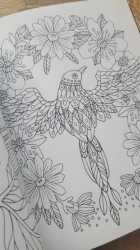 Fairy Tales & Folklore Coloring Book - Emelie Lidehäll Öberg (Sagor och sagner)