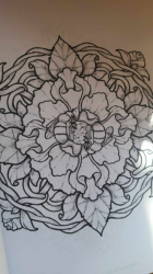 Forest Animal Mandalas