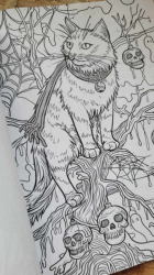 Halloween X Christmas Adult Coloring Book- Coloring Book- Max Brenner