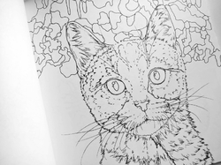 Healing Woods Diary Coloring Book - KOREA