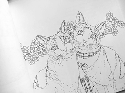 Healing Woods Diary Coloring Book - KOREA