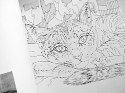 Healing Woods Diary Coloring Book - KOREA