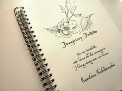 Imaginary Friends - Karolina Kubikowska