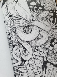 Rising Coloring book - Karolina Kubikowska 