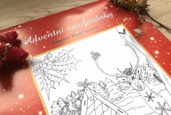 Dagmar Medzvecová - Adventní omalovánky - 2 typy vazby