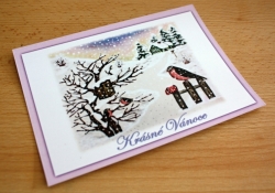 Vánoční pohlednice - Vladislava Schafferhans