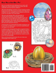 The Secrets of Coloring - Jennifer Zimmermann
