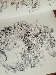 Ken Matsuda Coloring Book  - JAPONSKO