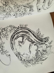 Ken Matsuda Coloring Book  - JAPONSKO