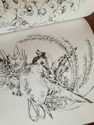 Ken Matsuda Coloring Book  - JAPONSKO