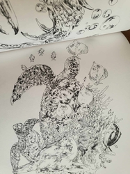Ken Matsuda Coloring Book  - JAPONSKO