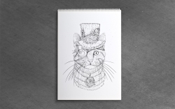 Crazy Drawings - CRAZY STEAMPUNK - colouring book