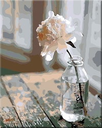 Malování podle čisel - Květina v láhvi - 40 x 50 cm - obtížnost 2 (snadné)