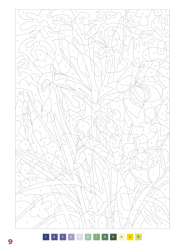Art therapy - Zagadkowe rysunki - Kwiaty (Fleurs) - Charlotte Mendes