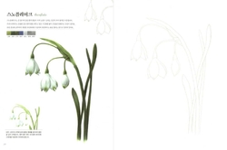 Botanical Art Easy Drawing Coloring Book