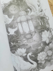 Lantern Worlds (Magic Worlds 17) - Coloring Book for Adults - Mia Quinn