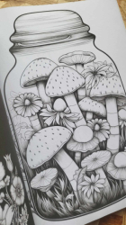 Magical Life in a Jar: A Fantasy Coloring Book for Adults - Mary Rowse