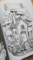 Magical Life in a Jar: A Fantasy Coloring Book for Adults - Mary Rowse